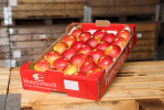 Fertig sortiert und verpackte Äpfel Paletten