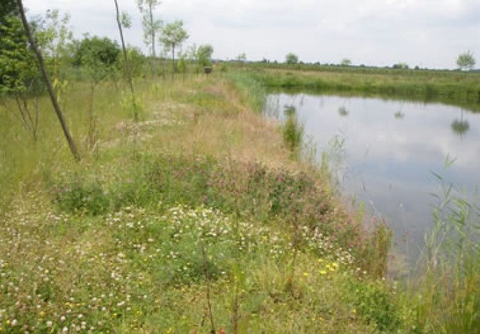Nachhaltige Bewässerung auf unseren Obstplantagen