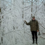 Die Frostschutz- beregnung