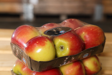 Obst Sortierung und Verpackung