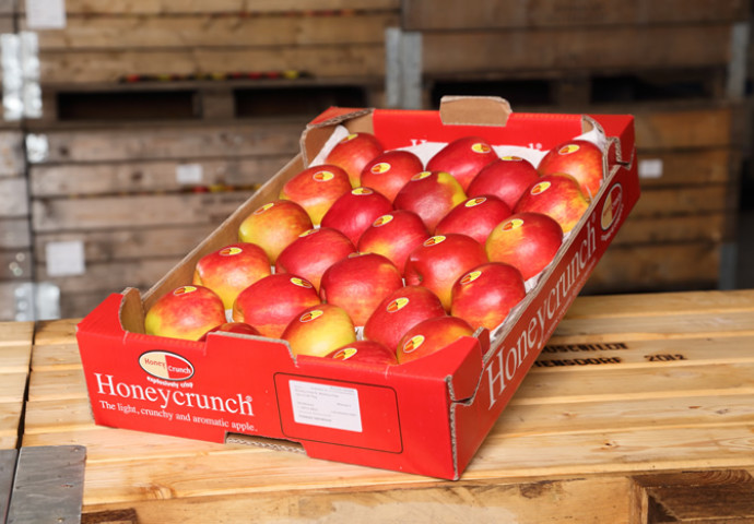 Hauschildts Obsthof - Ihr verlässlicher Obst Handel-Partner