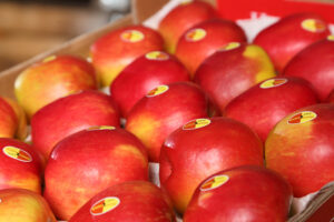 ULO-Lager erhalten die Qualität unserer Früchte