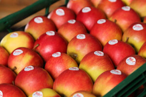 Nachhaltige Produktion bei Hauschildts Obsthof