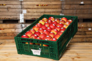 Obstlieferung - frisch und fruchtschonend