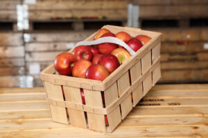 Nachhaltige Produktion bei Hauschildts Obsthof