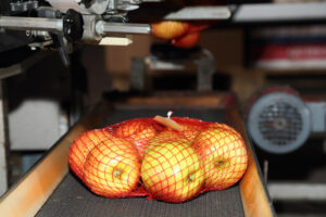 Obstlieferung - frisch und fruchtschonend