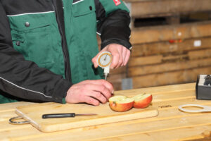 Obstlieferung - frisch und fruchtschonend