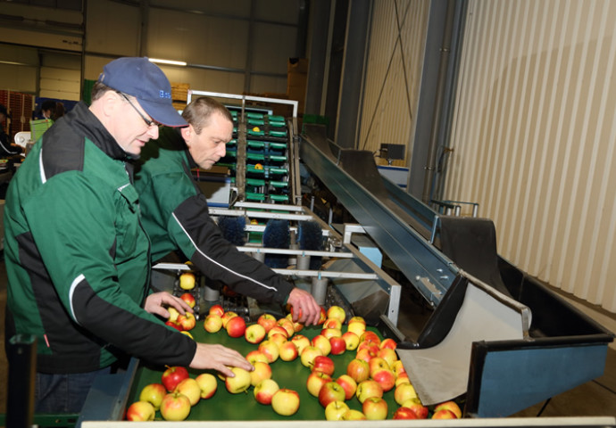 Unsere engagierten Mitarbeiter sind das Herz des Unternehmens