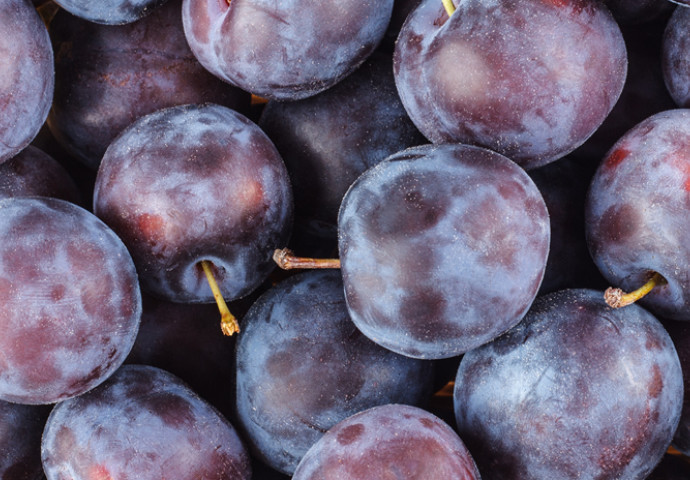 Steinobst - Zwetschen und Pflaumen aus eigenem Anbau